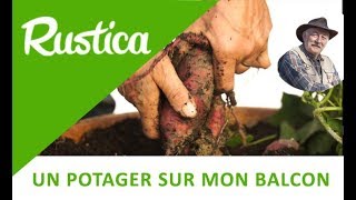 La culture de la patate douce en pot [upl. by Dedie]