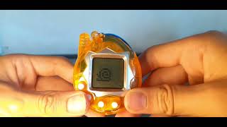 Tamagotchi My new fake tamagotchi [upl. by Nnyleahs]