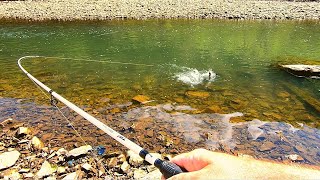 RattleSnake Surprise While Bank Fishing Ocoee River [upl. by Esylle189]