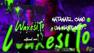 Natanael Cano  Un Waxesito SLOWED  BASS EPICENTER [upl. by Gregorio]