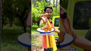 गोवा की Intercropping System😱🔥आपके यहां कौनसी Irrigation System है  indianfarmer shorts [upl. by Fanestil]