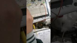 41 Multiplexer practical circuit شرح نظري وعملي [upl. by Enenej]