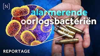 De onstuitbare opmars van superbacteriën in oorlogen [upl. by Storer]