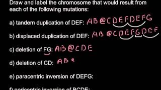 Types of chromosomal mutations [upl. by Nilat]