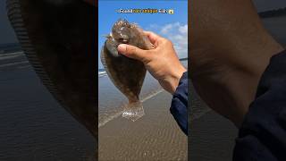 WOW i found rare unique fish trapped in beach 🥺 [upl. by Maker]