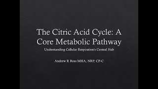 The Citric Acid Cycle  Medium Lecture [upl. by Ecaidnac87]