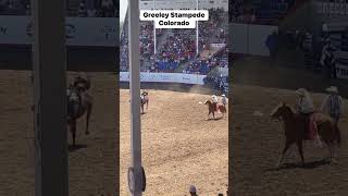 Greeley Stampede 2024 greeleystampede [upl. by Ailam]