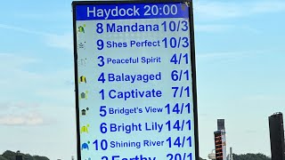 An Honest Day Punting  Haydock Part 2 [upl. by Kerat579]