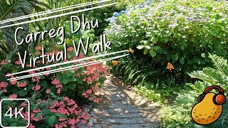 Isles of Scilly 4K Virtual Walk  Porth Hellick to Carreg Dhu Garden via Holy Vale [upl. by Meg]