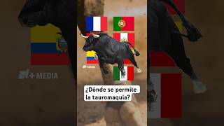 Estos países aún permiten la tauromaquia ¿por qué [upl. by Mikel]