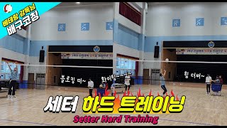 세터 하드 트레이닝Setter Hard Training [upl. by Nalyac]