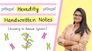 Class 10 Biology  Heredity Handwritten Notes [upl. by Paco774]