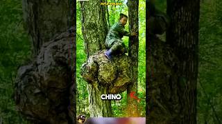 ¡EL MISTERIOSO PALO DE SANGRE CHINO quotEste hombre en china hace magia con un troco de arbolquot [upl. by Naz319]