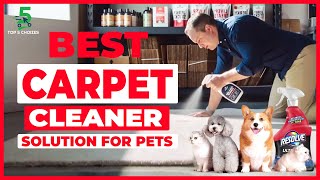 Top 5 Best Carpet Cleaner Solution For Pets in 2022 [upl. by Eiramoj586]