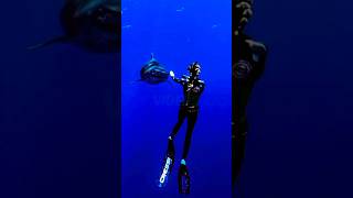 The Woman Who Dives with Sharks Meet Ocean Ramsey [upl. by Gustie]