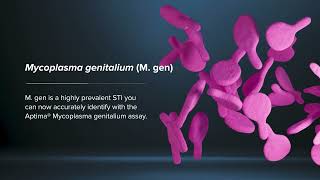 Mycoplasma genitalium [upl. by Nevet]