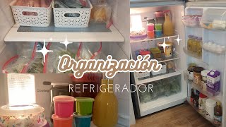 Organización de refrigerador pequeño así organizo y ordeno mi pequeño refrigerador kitchen [upl. by Alikat172]