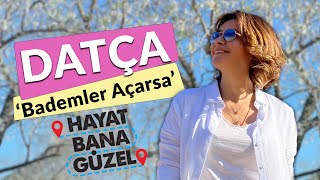 Şenay Akkurt ile Hayat Bana Güzel  Datça Badem Çiçeği Festivali  Datça Rehberi [upl. by Tressa]