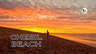 Beach Fishing Fish Every Cast Chesil [upl. by Griffith]