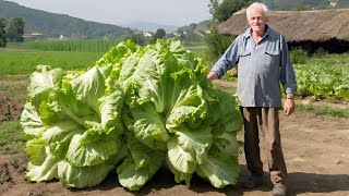 Kad OVO sipam u zemlju jesenska salata eksplodira od rasta [upl. by Campney]