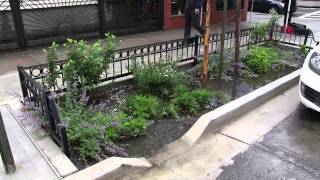 NYC Green Infrastructure [upl. by Nahsor]