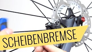 Fahrrad Scheibenbremse einstellen  Quietschen amp Schleifen beheben  Fahrradorg [upl. by Efron39]