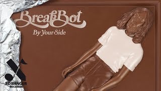 Breakbot  The Mayfly And The Light feat Irfane Official Audio [upl. by Malinin]