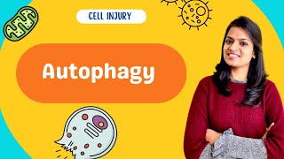 Autophagy  Types mechanism and clinical importance [upl. by Nnaylloh]