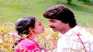 Sangeetha Vanil santhosam  சங்கீத வானில் சந்தோசம்  S P Balasubrahmanyam Vani Jairam  HD Song [upl. by Coyle337]