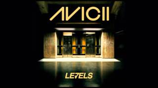 Avicii  Levels [upl. by Oknuj]