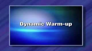 8 simple dynamic warmup exercises [upl. by Tesil]