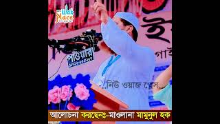 মামুনুল হকের ভাষন শুনে আমাদের জীবনে কি পরিবর্তন আসবে shorts [upl. by Huff39]