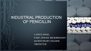 Industrial Production of Penicillin Industrial microbiology [upl. by Dimphia]