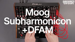 Moog DFAM  Subharmonicon Jam [upl. by Nivk]