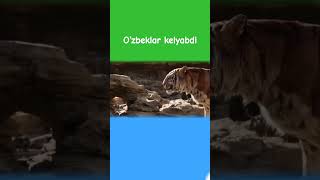 O‘zbeklar kelyabdi rek lovesongs funny musiclove [upl. by Aicenert]