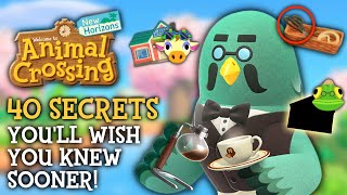 40 SECRETS Youll WISH You Knew Sooner  Animal Crossing New Horizons [upl. by Nosnar]