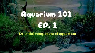 Aquarium 101 EP1  Essential component of aquarium [upl. by Seidnac468]