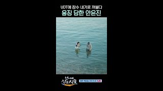 물에서 덱스한테 까불다 참교육 당한 안은진 언니네산지직송 [upl. by Enitselec218]