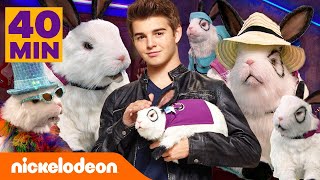 Thundermans  Maratona do Dr Colosso Coelhinho por 40 minutos  Nickelodeon em Português [upl. by Akram675]