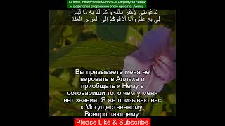 Коран Сура Гафир  4042  Чтение Корана с русским переводом  Quran Translation in Russian [upl. by Viscardi362]