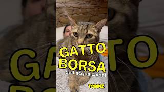 GATTO BORSA dell’acqua CALDA [upl. by Leonard18]