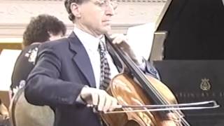 Brahms Cello Sonata in E Minor Movement 1 [upl. by Adnamar]