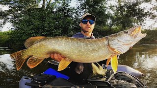 Pêche du CARNASSIER au leurres  La technique ULTIME quand il fait CHAUD [upl. by Nidroj]