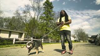 GRINDHARD E  quotDOG amp A STICKquot OFFICIAL VIDEO ShotBy0Degrees [upl. by Limemann]