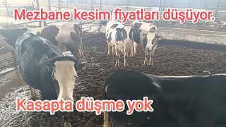 Kesim fiyatları düşmeye devam ediyor Ama et fiyatları piyasada düşmüyor [upl. by Isador]