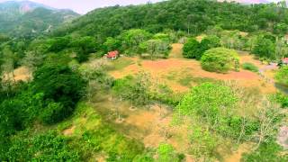 A Quick aerial view of the Cocoa Plantation next to the Ortinola Great House​ St Joseph Trinidad [upl. by Eimmij729]