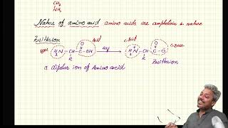 A2 Organic Amino AcidZwitterionElectrophoresis lecture 1 [upl. by Lyrrehs]