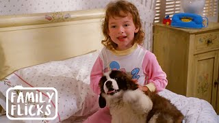 The New Puppy Opening Scene  Beethoven 1992  Family Flicks [upl. by Strep]