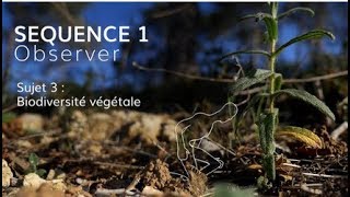 Séquence 1 sujet 3  Biodiversité végétale [upl. by Sorensen517]