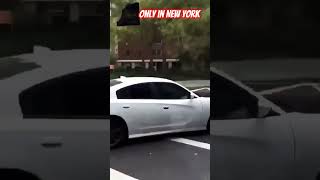 only in New York 2024 traffic automobile police funny hellcat car caught [upl. by Anaig]